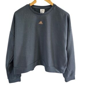 Adidas Blue Sweatshirt